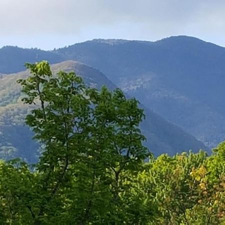 Mountain Serenity جاتلينبرج المظهر الخارجي الصورة