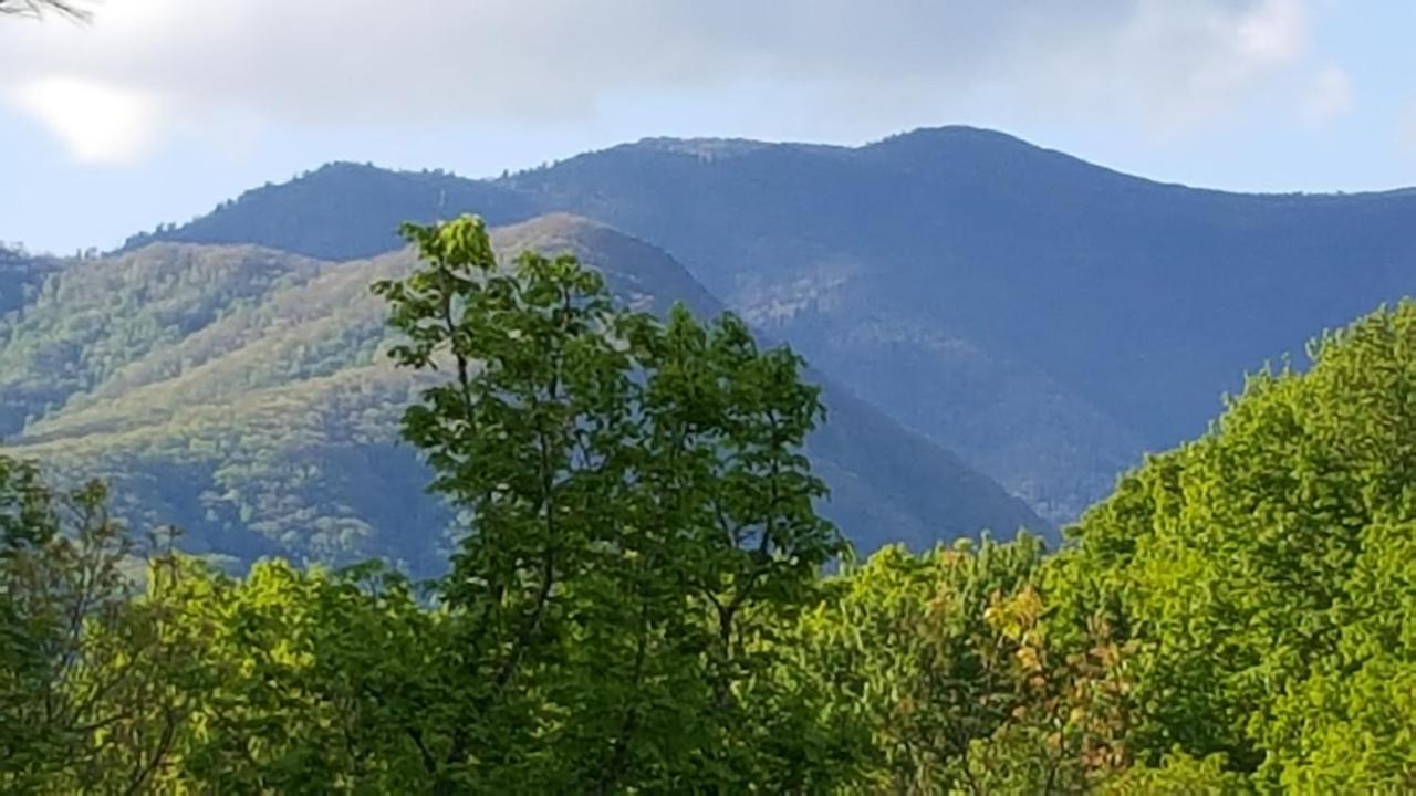 Mountain Serenity جاتلينبرج المظهر الخارجي الصورة